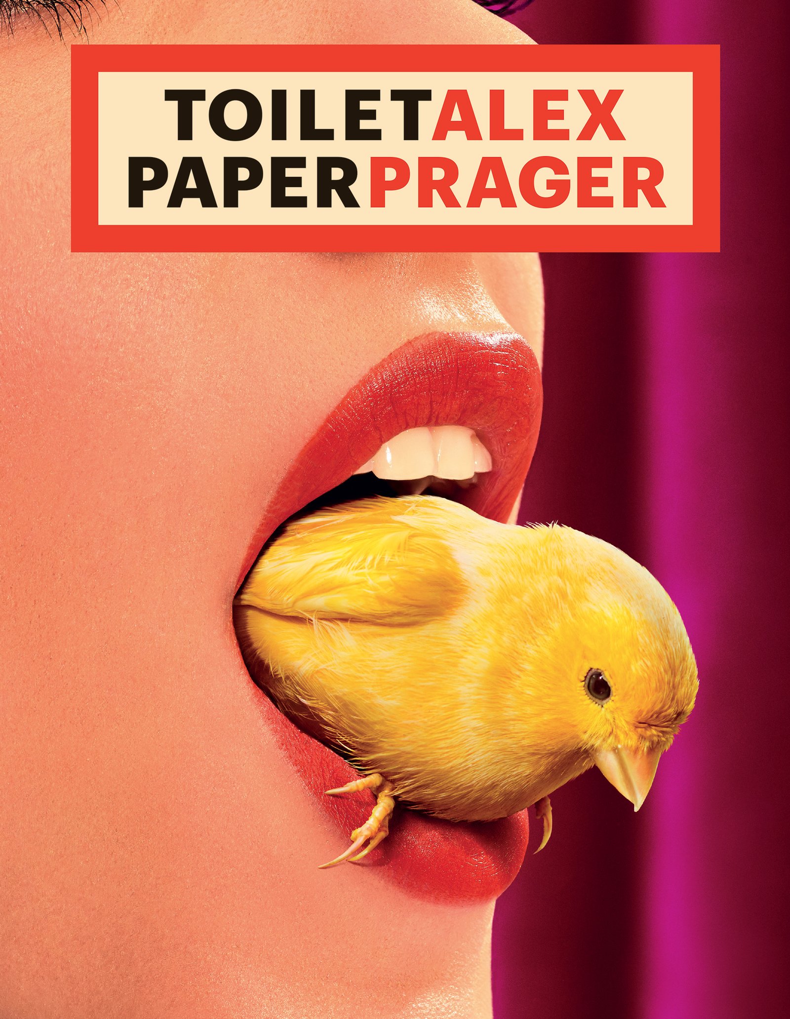 Toilet Paper - Les presses du réel (book)