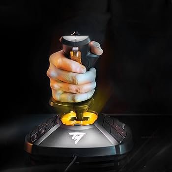Amazon.com: Thrustmaster T16000M FCS (Compatible with PC