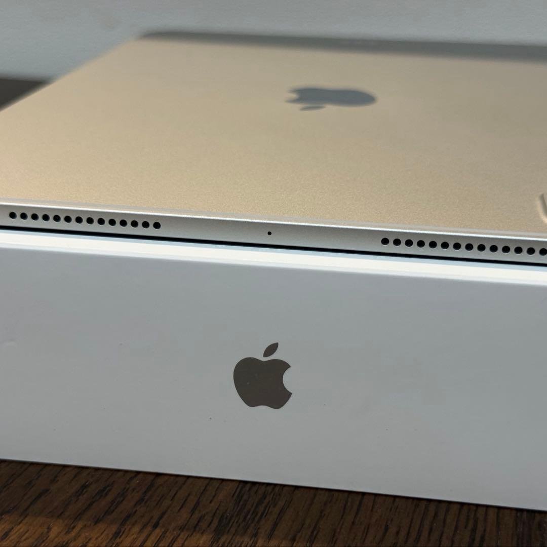 iPad Pro 11インチ M4 256GB Wi-Fi シルバー